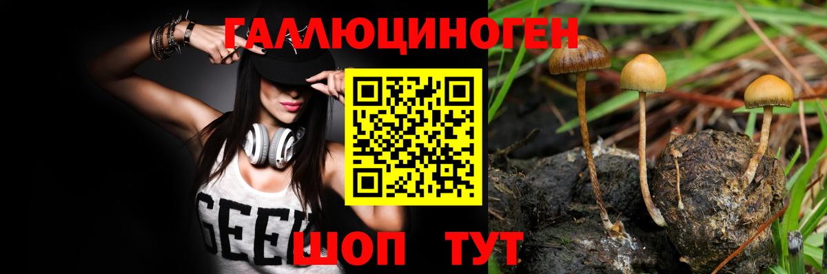 Галлюциногенные грибы MAGIC MUSHROOMS Абинск
